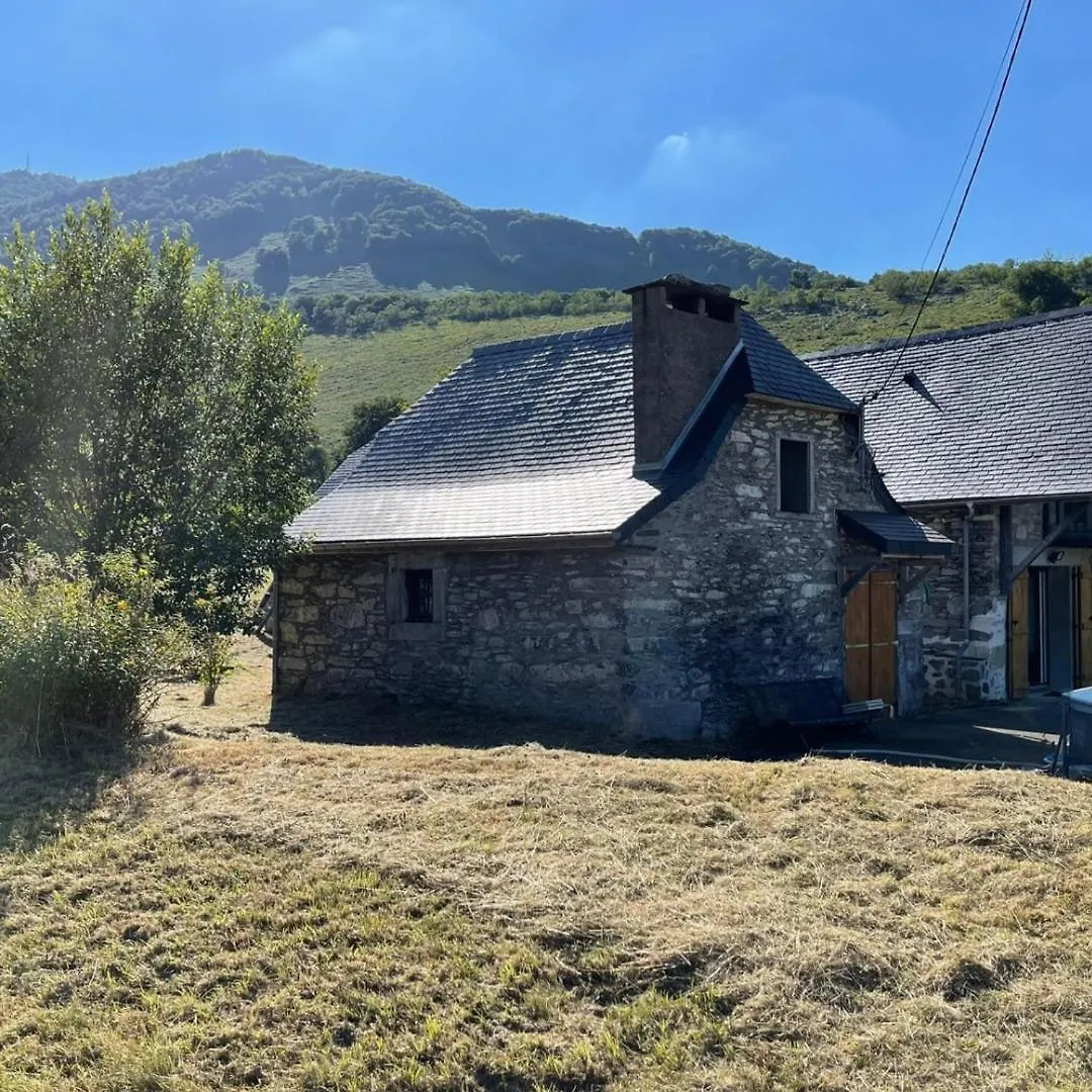 Mountain Guest House Segus